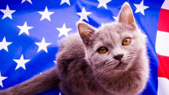 Our Capital’s Finest Felines – A Look Back at Presidential Cats