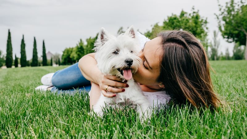 Proof That Dog Is Man s Best Friend PetPartners Pet Insurance