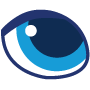 Eye Injury icon